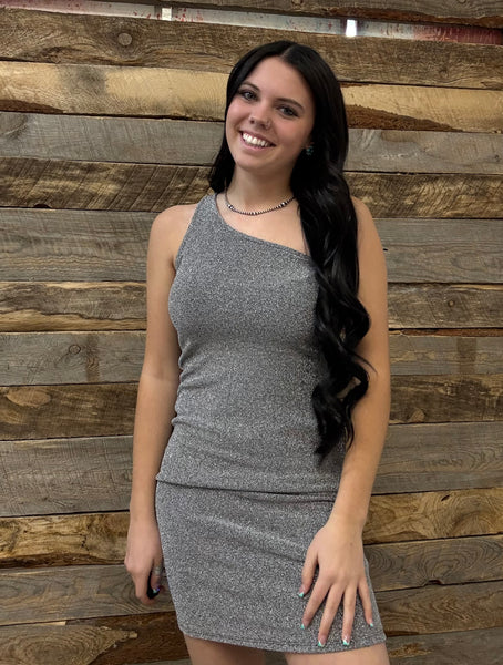 The Perfect Day Out Silver Dress