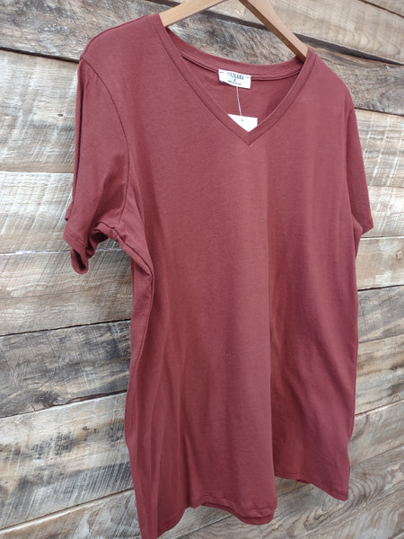 The Just Right Dark Rust V Neck Top