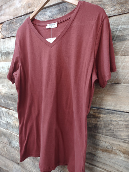 The Just Right Dark Rust V Neck Top