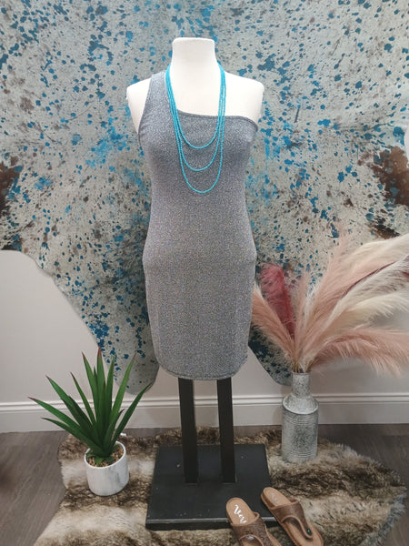 The Perfect Day Out Silver Dress