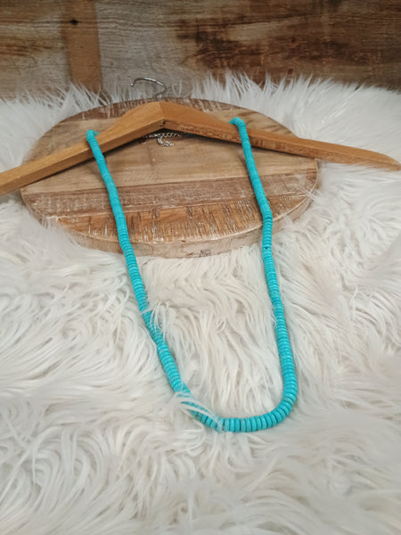 The True Start Long Turquoise Necklace