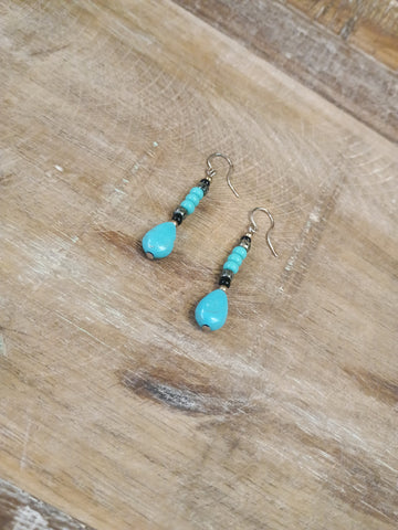 The Turquoise and Black Earrings