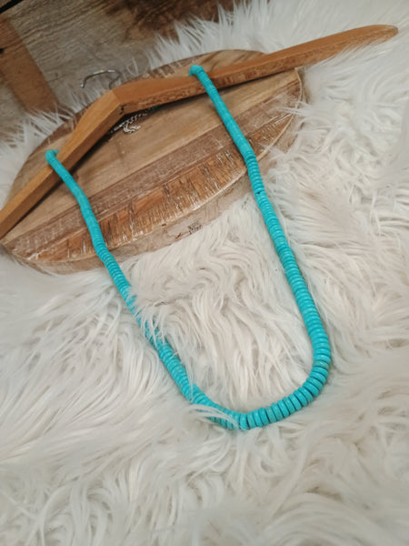 The True Start Long Turquoise Necklace