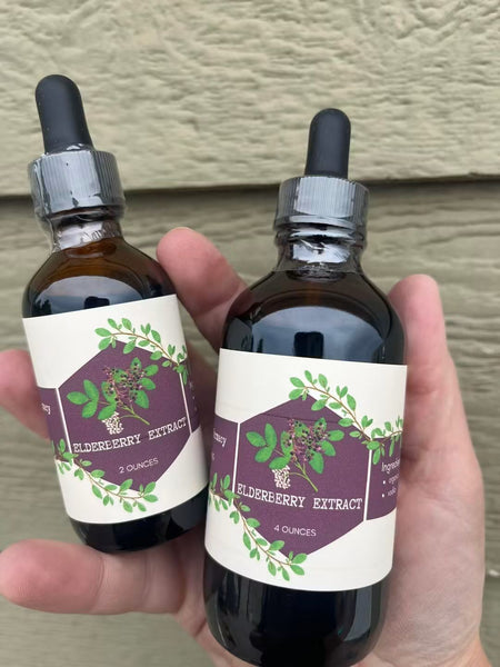 The Elderberry Extract Large