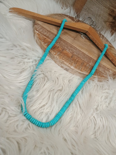 The True Start Long Turquoise Necklace