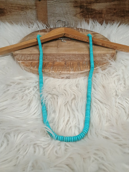 The True Start Long Turquoise Necklace